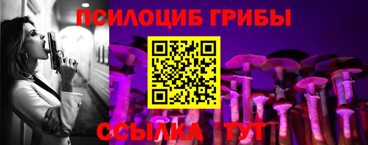 Псилоцибиновые грибы Cubensis Канаш